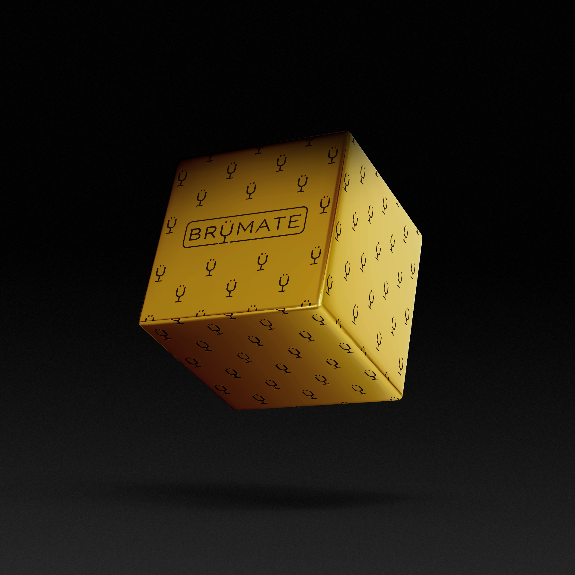 premium-mystery-item-39-70-value-e9 IMG-1548.png